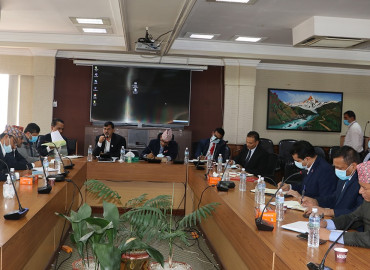 category photo