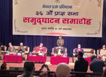 category photo