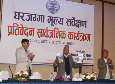 category photo