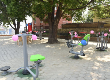 category photo