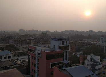 category photo