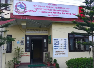 category photo