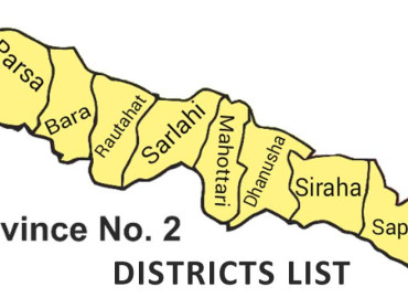 category photo