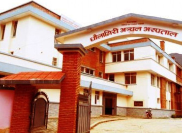category photo