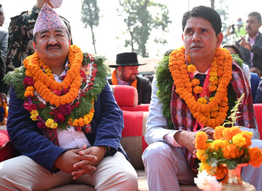 category photo