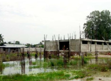 category photo