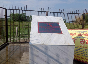 category photo