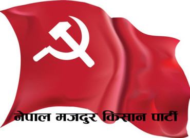 category photo