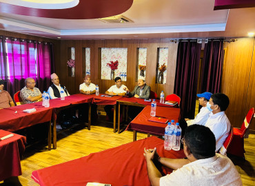 category photo