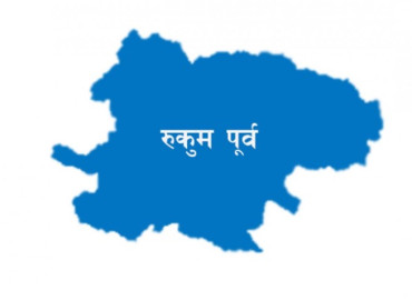 category photo