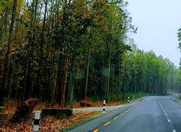 category photo