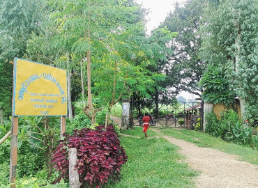 category photo