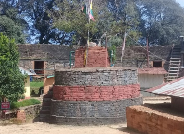category photo