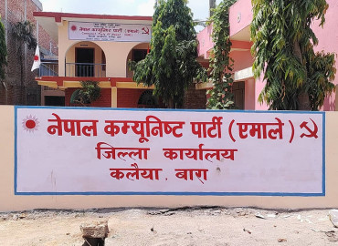 category photo