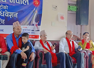 category photo