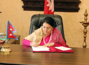 category photo