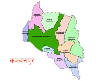 category photo