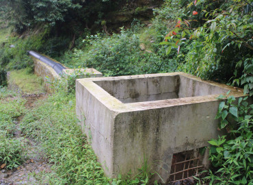 category photo