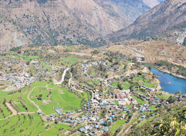 category photo