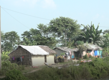 category photo