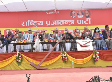 category photo