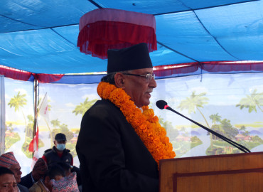 category photo