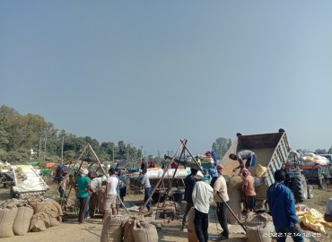 category photo
