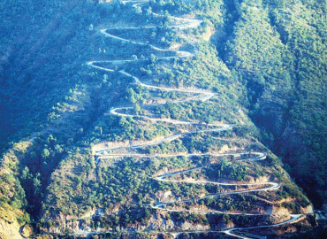 category photo