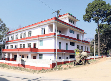 category photo