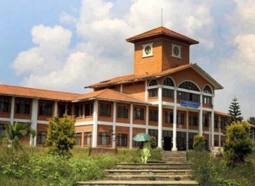 category photo