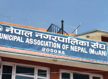 category photo