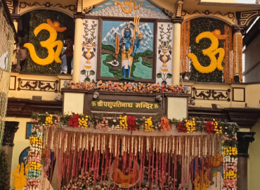 category photo