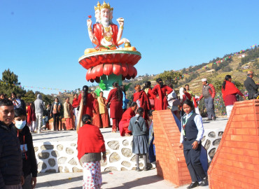 category photo