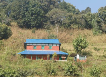 category photo