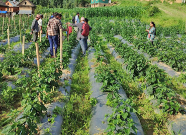category photo