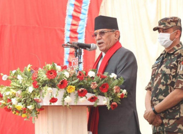 category photo