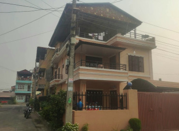 category photo