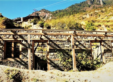 category photo