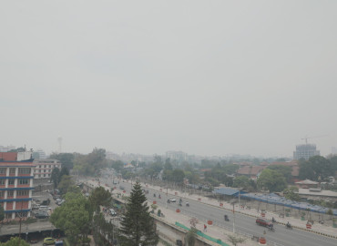 category photo