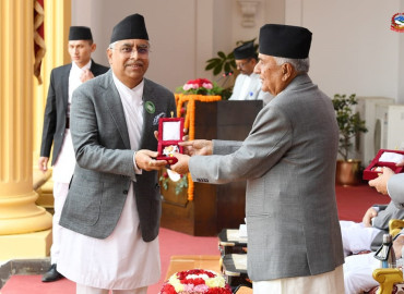 category photo