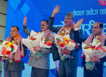 category photo