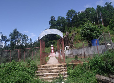 category photo