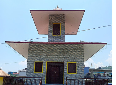 category photo