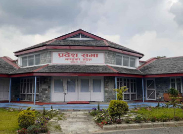 category photo