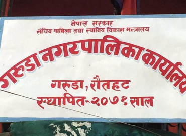 category photo