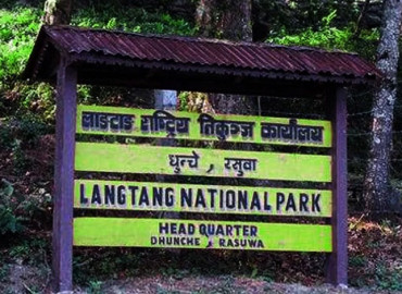 category photo