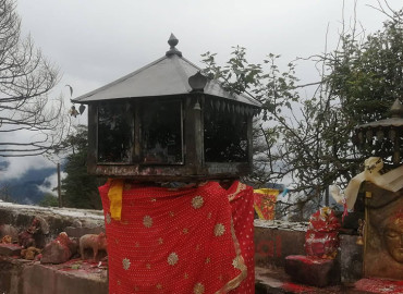 category photo
