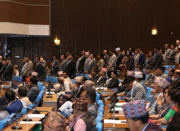 category photo