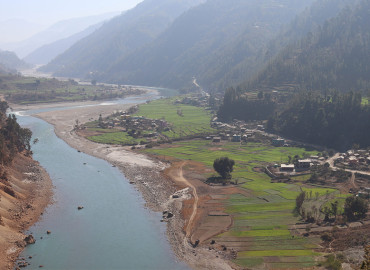 category photo