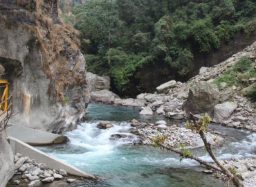 category photo
